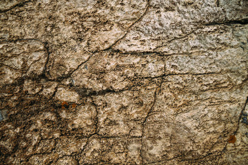 Marble untreated wall with irregularities and cracks