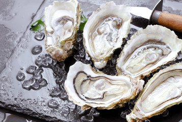 open oysters with ice on slate background