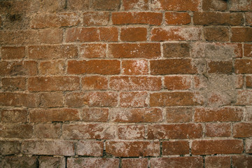 Old brick wall and plaster