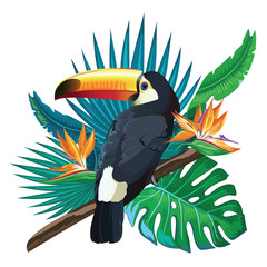 Toucan bird. Cute toucan  isolated on white. South America fauna. Wild animal illustration for zoo, nature concept.