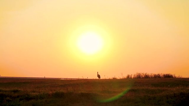 Beautiful sunrise in Baranda