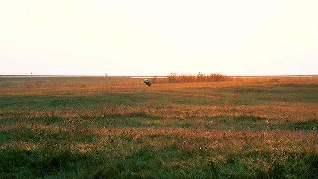 Beautiful sunrise in Baranda