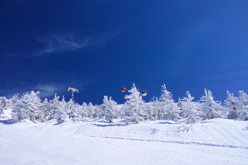 ●ゴンドラと樹氷

