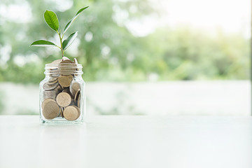 Saving money to invest in house or property in the future. Business Finance Concept.