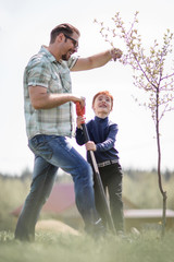 little boy helps his father to plant a tree.