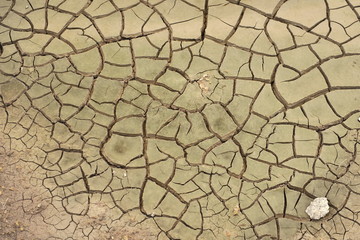 The dried up cracked ground.