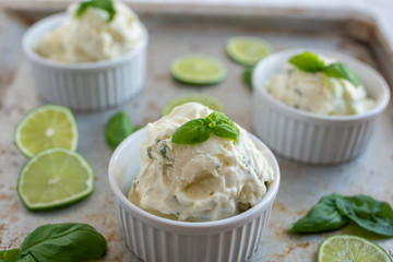 Zitronen Basilikum Eiscreme 