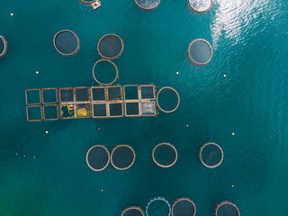 aerial view of fish farm in sea water. summer time