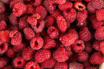 raspberries close up background