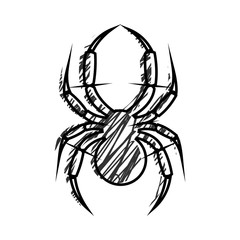 Graphic vector illustration of insect, black and white hand drawn spider, isolated. Sketch pencil liberty drawing. Print for t shirts