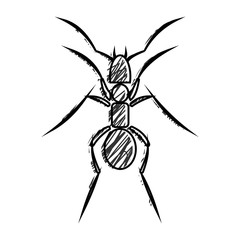 Graphic vector illustration of insect, black and white hand drawn ant, isolated. Sketch pencil liberty drawing. Print for t shirts