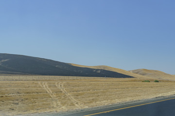 Terrible fir burned field