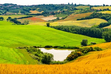 Beautiful landscape of hilly Tuscany with wheat field, vineyard and water reservoir in Valdorcia, Italy
