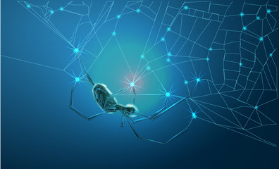 Spider and torn web. Scary spiderweb of halloween symbol. Abstract image of a starry sky or space, consisting of points, lines, and shapes in the form of stars and the universe. Low poly vector