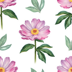 Watercolor peony flowers illustration. Seamless pattern