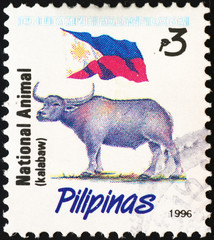 Asian buffalo and flag of Philippines on postage stamp