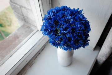 beautiful bunch of cornflowers in vase on wooden white window sill background, rustic wallpaper concept, space for text