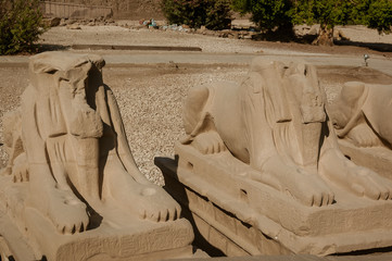 Ram-headed sphinxes in Karnak temple, Luxor