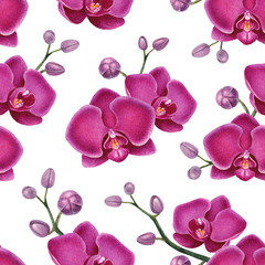 Watercolor illustrations of orchids. Seamless pattern