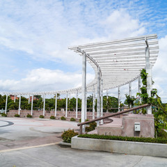 Obraz premium White trellis .