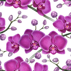 Fototapeta na wymiar Watercolor illustrations of orchids. Seamless pattern