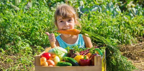 Child and vegetables on the farm. Selective focus.
