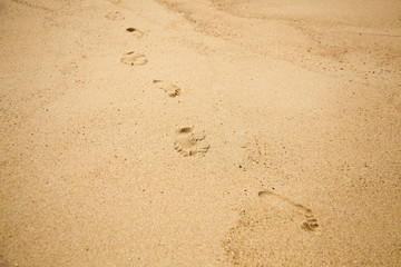 Footprint of bare feet on wet sand. Summer vacation on the beach. Walk along the sea shore