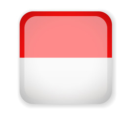 Monaco flag. Square bright Icon on a white background