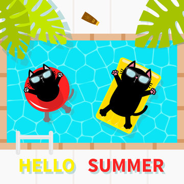 Hello Summer. Swimming pool. Black cat floating on yellow pool float water mattress and red circle. Top air view. Sunglasses. Lifebuoy. Palm tree leaf. Cute cartoon character. Flat design.