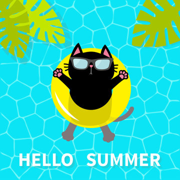 Hello Summer. Swimming pool water. Black cat floating on yellow pool float water circle. Top air view. Sunglasses. Lifebuoy. Palm tree leaf. Cute cartoon relaxing character. Flat design.