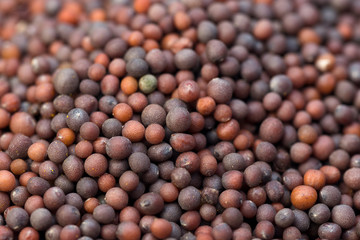 A Close-up Shot of Mustard Seeds used commonly in Indian Cuisine