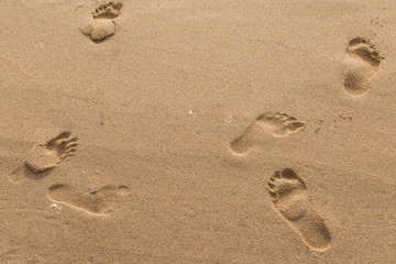 footprints of lovers in the sand on the beach