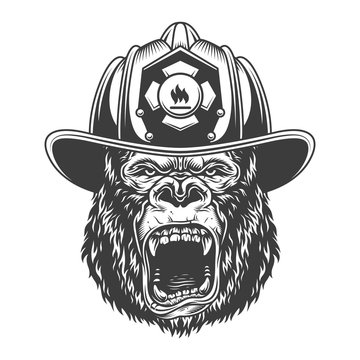 Angry gorilla in monochrome style