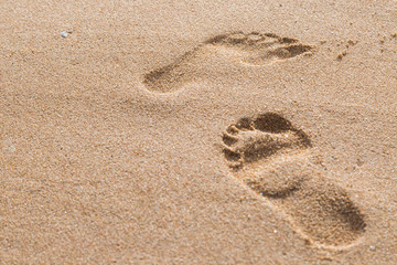 footprints in the sand on the beach