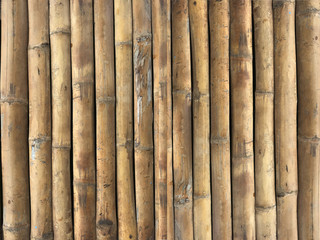 Background of yellow bamboo sticks binding together to be the raft.