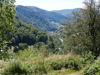 Schwarzwald