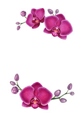 Fototapeta na wymiar Watercolor illustration of orchids. Perfect for greeting cards or invitations