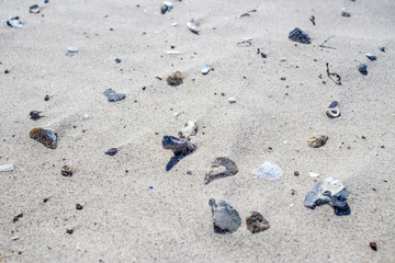 Sandy beach with small rocks