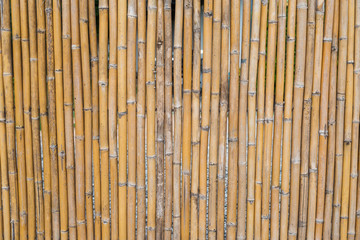 Pattern of bamboo fencing texture