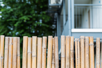Pattern of bamboo fencing texture