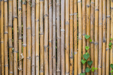Pattern of bamboo fencing texture