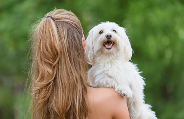 Bichon bolognese dog with beautiful in the park
