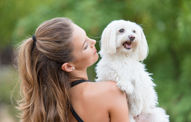 Bichon bolognese dog with beautiful in the park