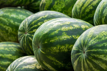 Close up of a pile of beautiful delicious green watermelons on the market bench or counter. Agricultural background concept