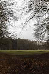 Obraz premium Opening In Parkland