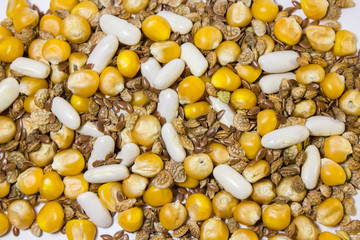 mélange graine de haricot mais lin sainfoin