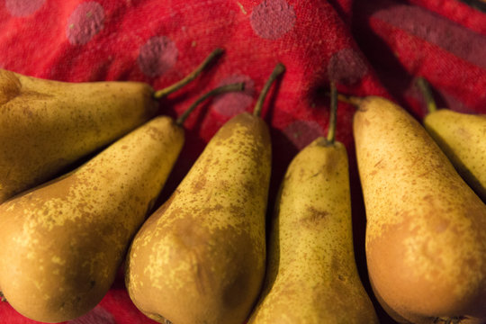 Pears On Red Tea Towel