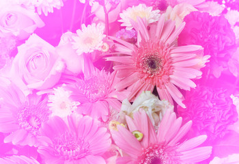 Group of gerbera  and roses flowers with soft bokeh in pastel tone for background.