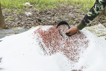 Pile of mix chemical fertilizer in the plant farm.