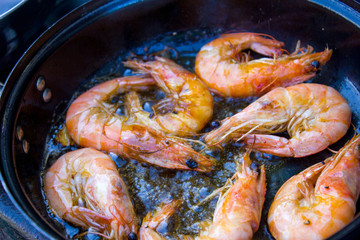 Fresh Scampis in a pan, France